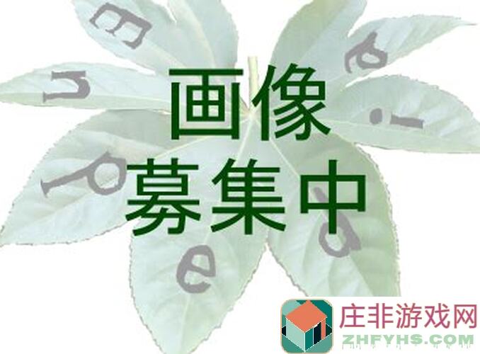 三国战纪攻略大揭秘：噩梦双倍模式通关技巧分享！
