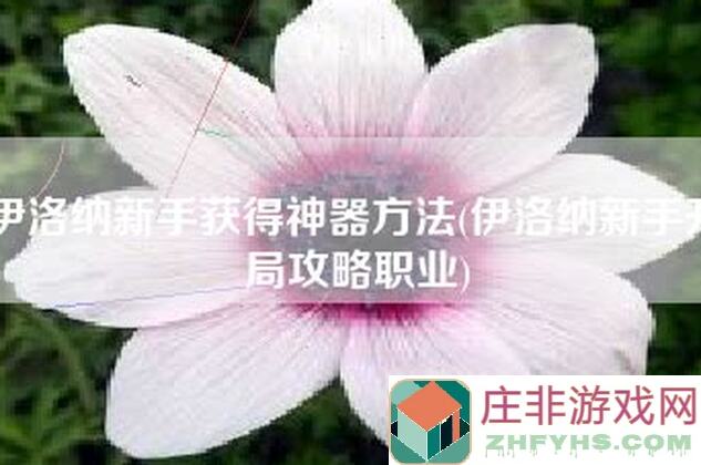 伊洛纳攻略大揭秘！堕落方舟曲线救国玩法解析，轻松提升战力曲线