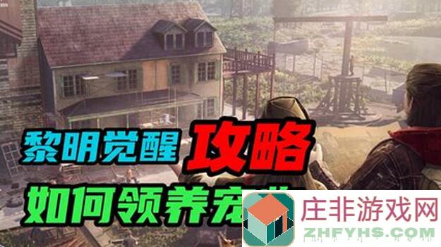 绝了！黎明觉醒：生机竞速与激战荒野狂飙全攻略，带你秒变战神！