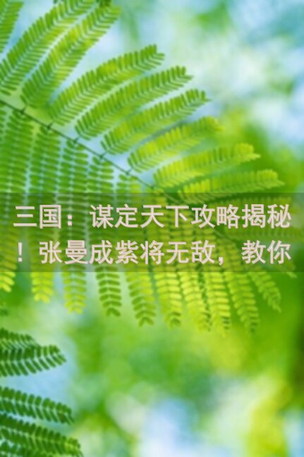 三国：谋定天下攻略揭秘！张曼成紫将无敌，教你如何轻松击败关羽张飞！