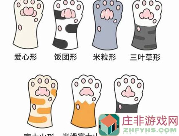 猫咪大作战：猫球识别秘籍大公开！轻松成为猫城高手！