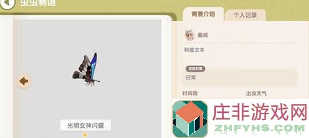 心动小镇奇灵夜季：鱼和虫极简攻略，轻松上手！