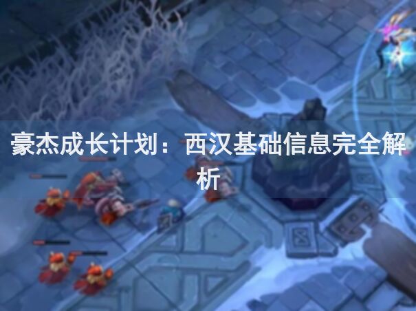 豪杰成长计划：西汉基础信息完全解析