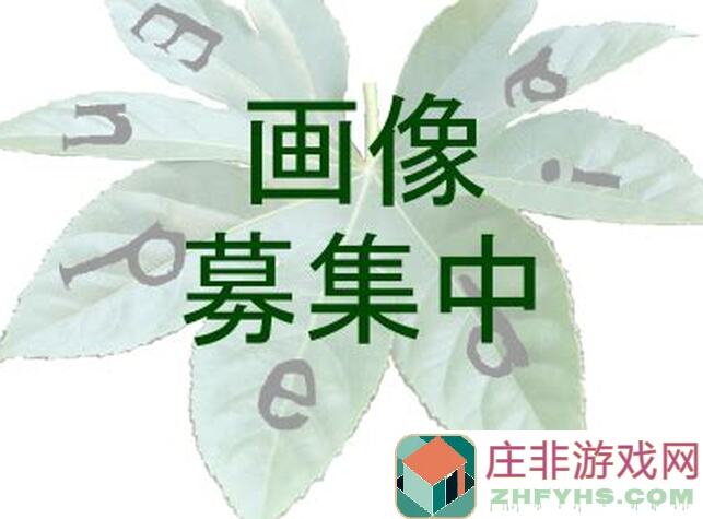 三国杀零氪党必看！盘点最强五大拼点武将，轻松提升战力攻略大揭秘！