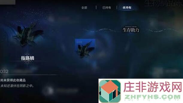 代号肉鸽宝石获取攻略：揭秘宝石回复全途径，轻松提升战力！